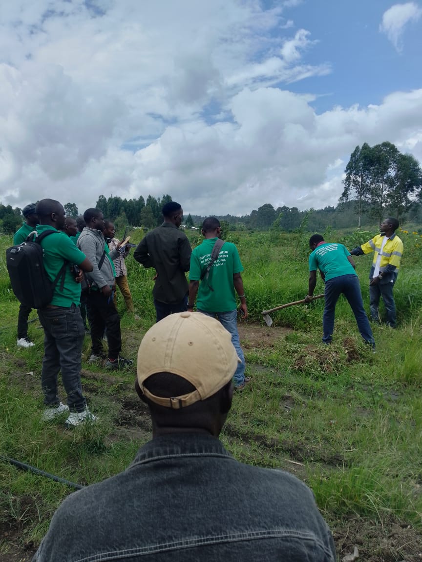 Étudiants sur terrain lors de pratiques professionnelles